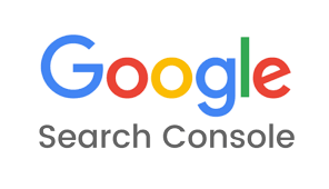 Google-Search-Console PASSIONE ARTISTA